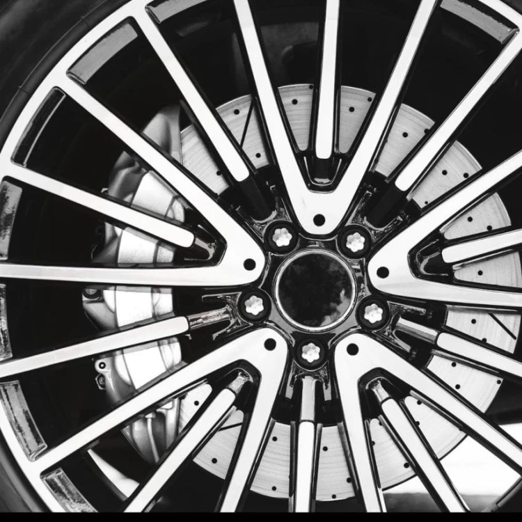L346SR BRAKE CALIPER SPRAY- SREBRNY_A.JPEG