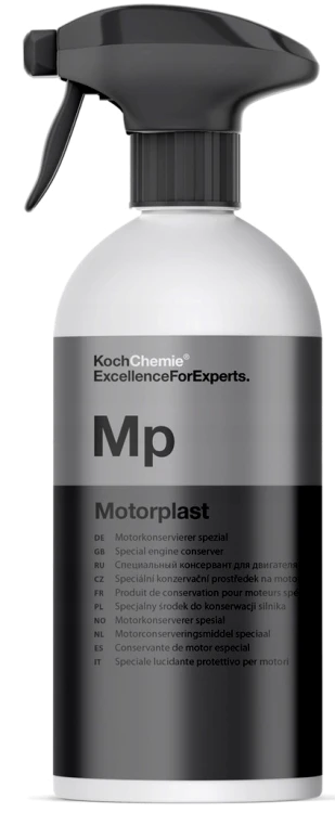 MP.png
