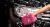 SNOWBALL_01.webp