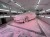 SWAG-NEUTRAL-FOAM-COLOR-3.JPG.webp