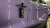 SWAG-HYDRO-COAT-1 (1).webp