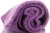GENTLEMAN BASIC PURPLE3.webp