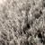 Monsoon Wheel Brush XL1.webp