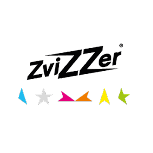 ZVIZZER car detailing
